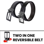 Load image into Gallery viewer, BLACK PLAIN BUCKLE DARK BROWN &amp; BLACK BELT
